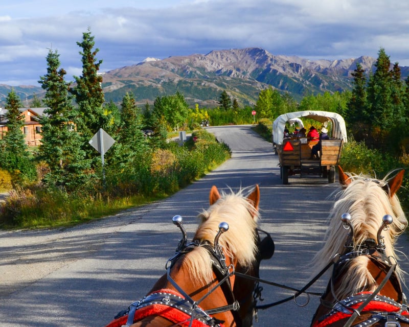 Guided Pioneer Covered Wagon Tour in Healy