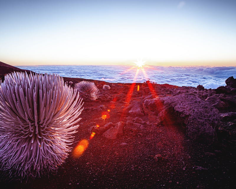 Explore Haleakalā National Park & Ocean Vodka Sunset