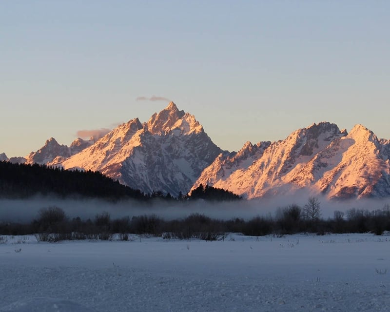 Private Winter Sunrise Wildlife Tour in Grand Teton