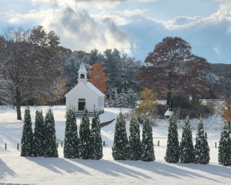 Felt Estate Holiday Self-Guided Mansion Tour in Holland