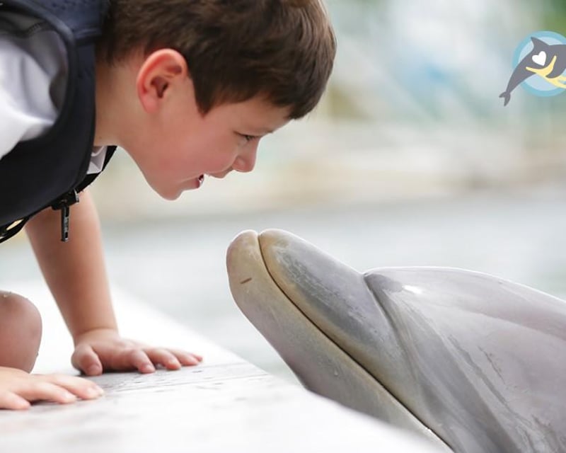 Meet a Dolphin Dock Experience in Key Largo