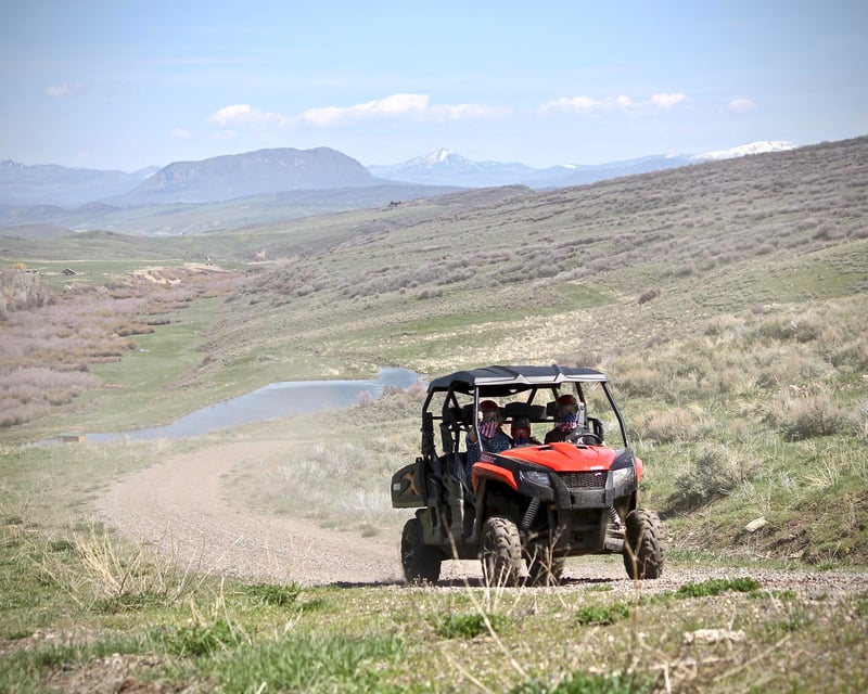 Ride a 3-Hour ATV Bison Tour in Oak Creek