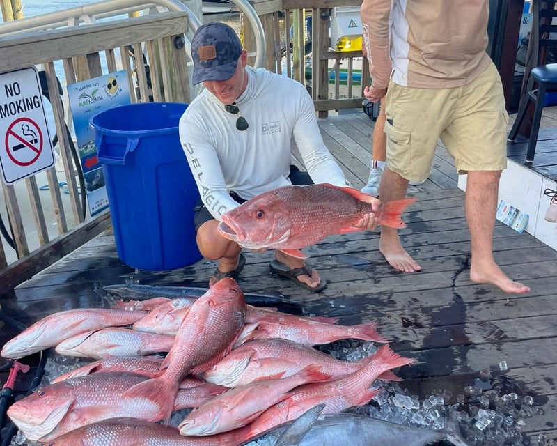 12-Hour Naples Deep Sea Fishing Charter