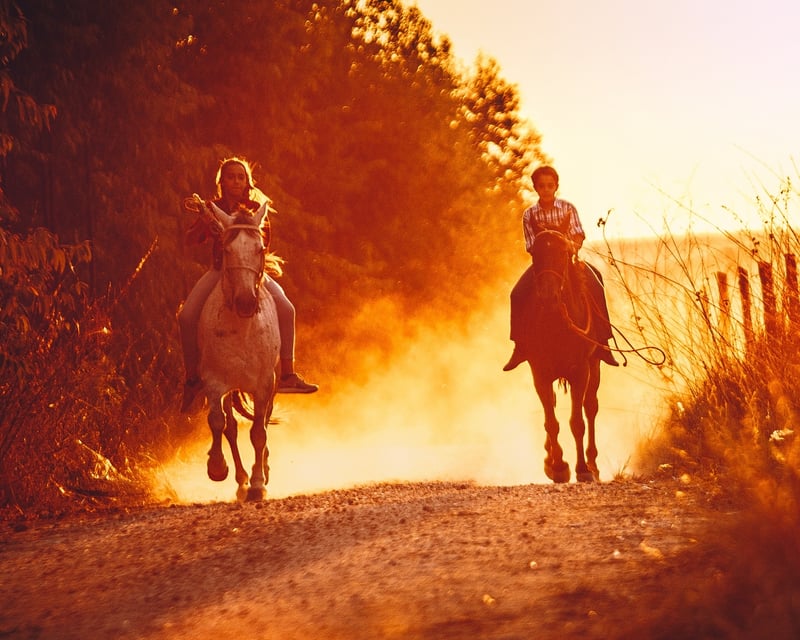 Sunset Horseback Ride in Millbrook
