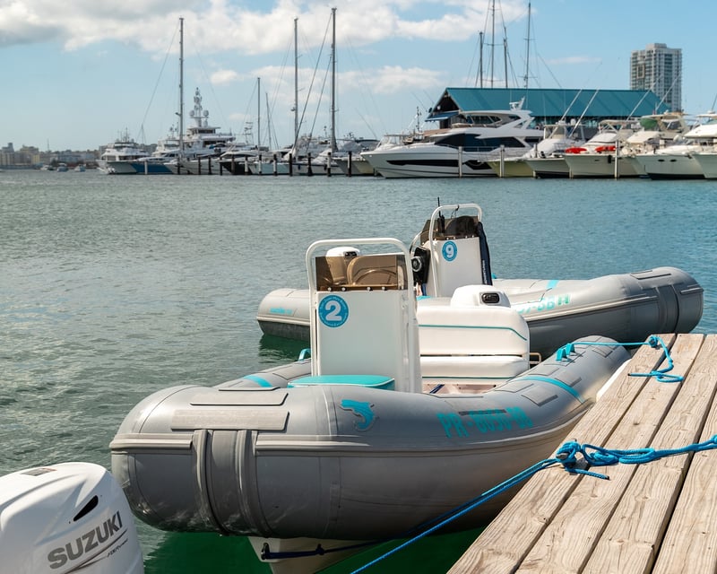 Self-Drive Mini Boat & Snorkel Tour in Fajardo