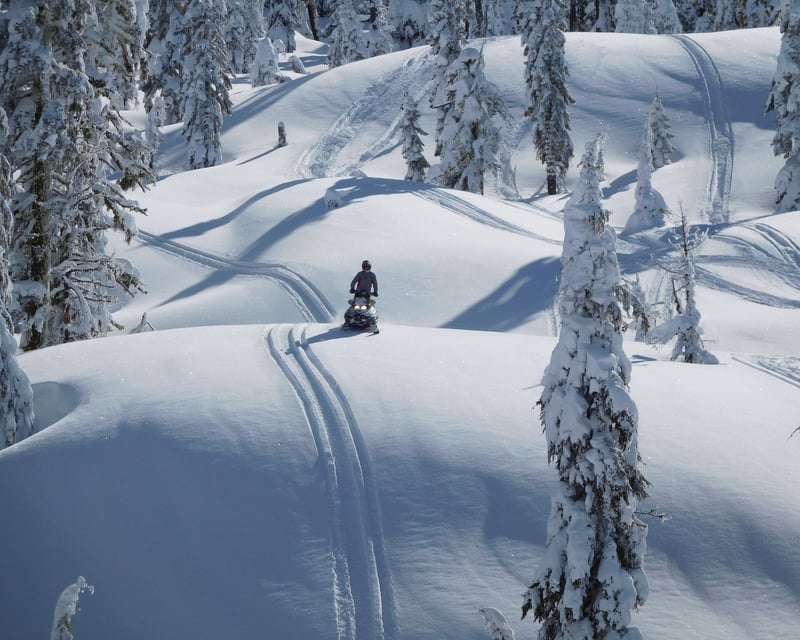 Guided No Business Mountain Snowmobile Tour in Donnelly