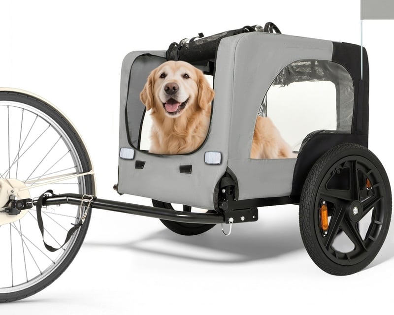 E-Bike Dog Trailer Rental in Suttons Bay