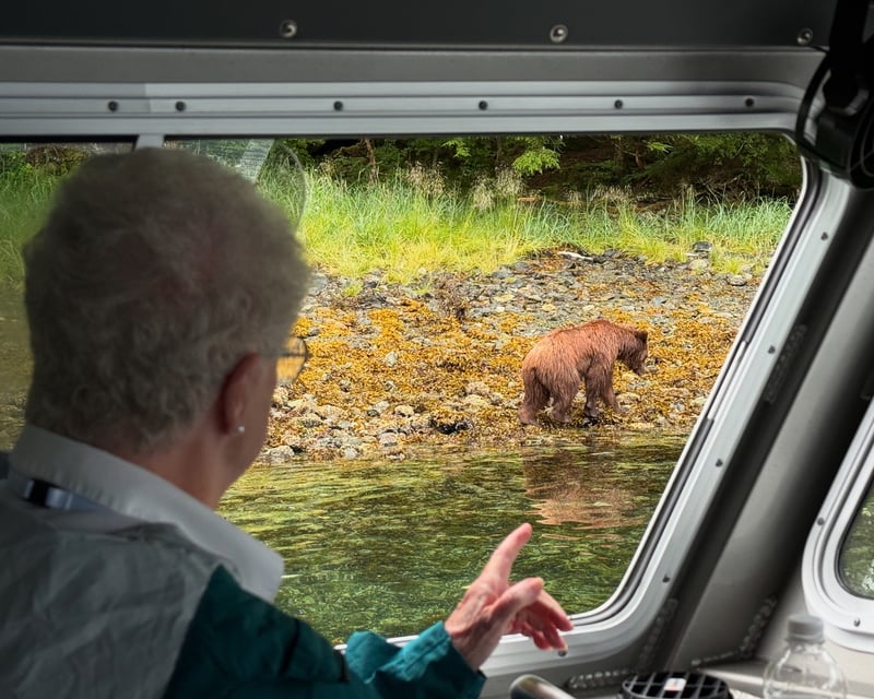 Private Wildlife Tour of Sitka