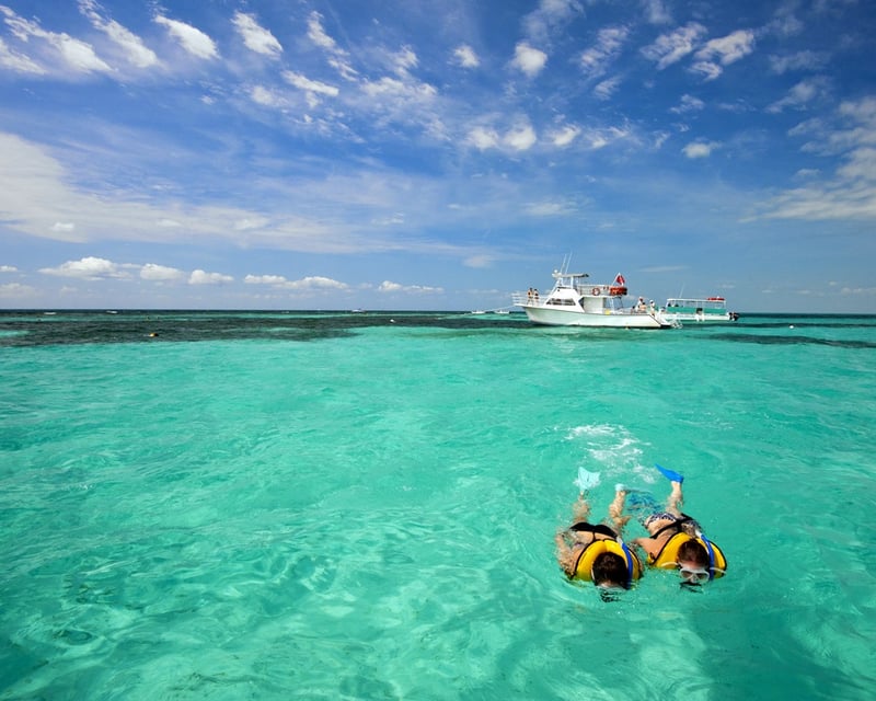 Key West Dolphin Watching Cruise