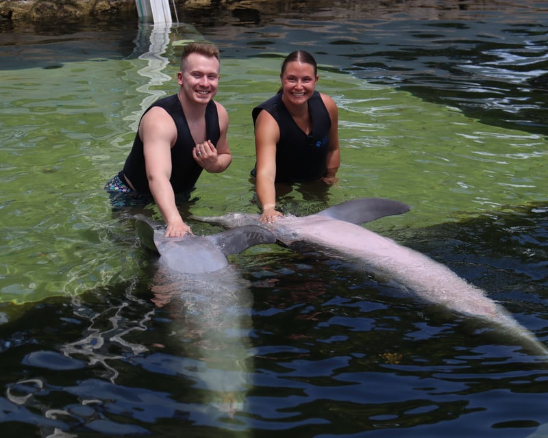 Meet Dolphins In-Water In Key Largo