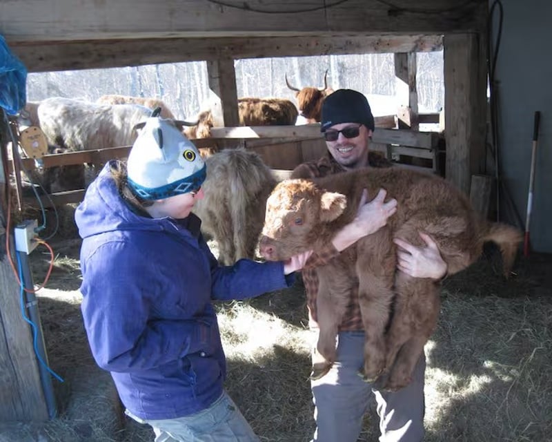 Calf Cuddle & Herd Roundup in Trapper Creek
