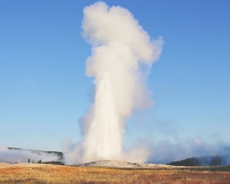 Private Yellowstone Old Faithful & Wildlife Day Tour