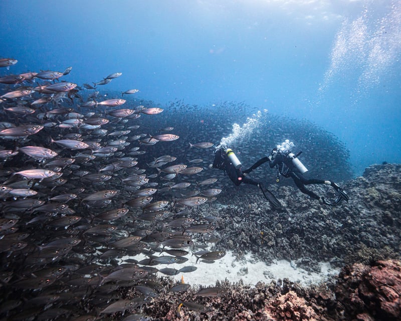 2-Tank Scuba Charter in Kailua Kona