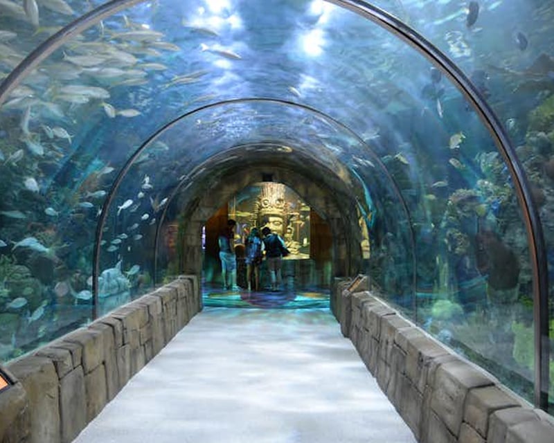 Audubon Aquarium & Insectarium Combo Ticket in New Orleans