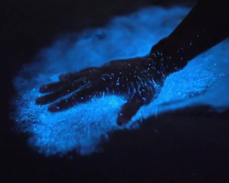 Bioluminescent Bay Night Kayak Tour in Fajardo