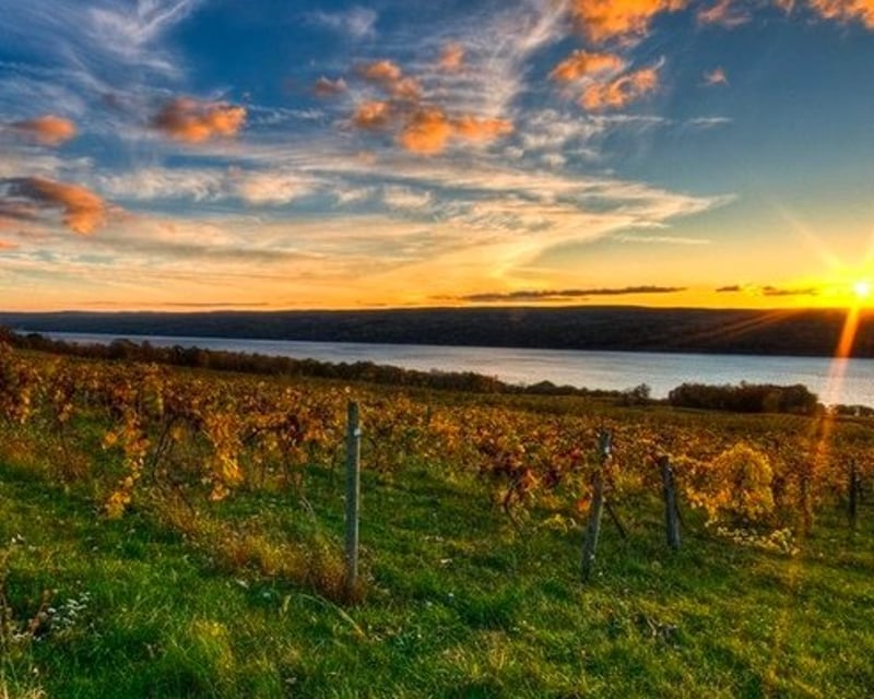 Luxury Picnic at Atwater Vineyards on Seneca Lake