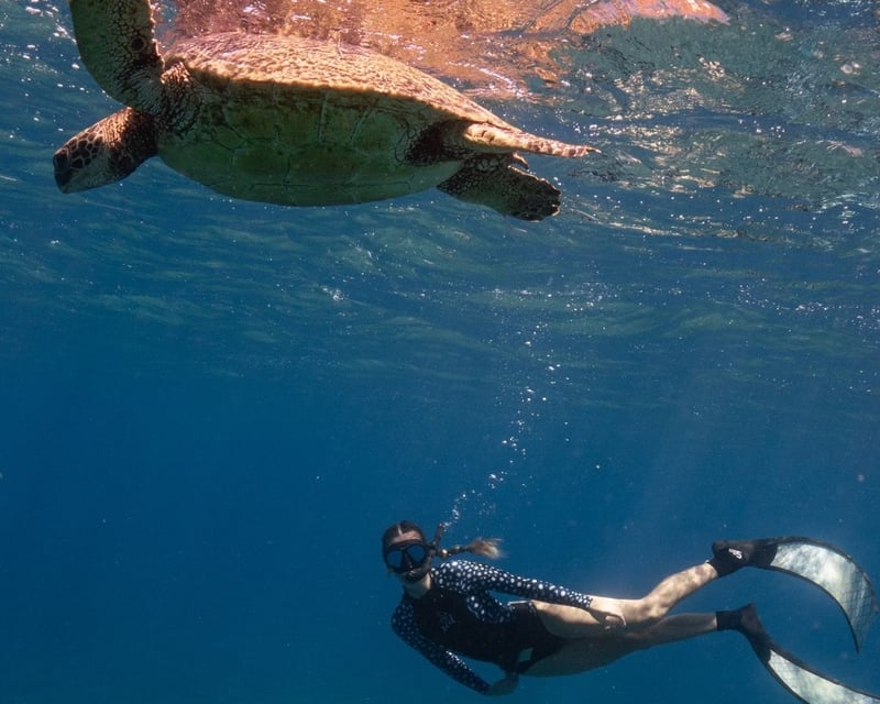 Guided Turtle Canyon Snorkeling Tour