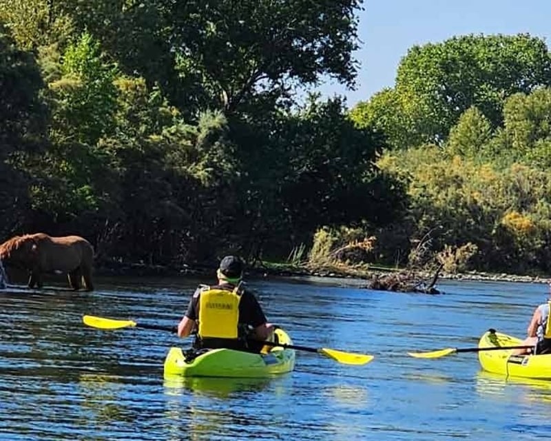 Lower Salt River Wild Horse Kayak & Paddleboard Tour