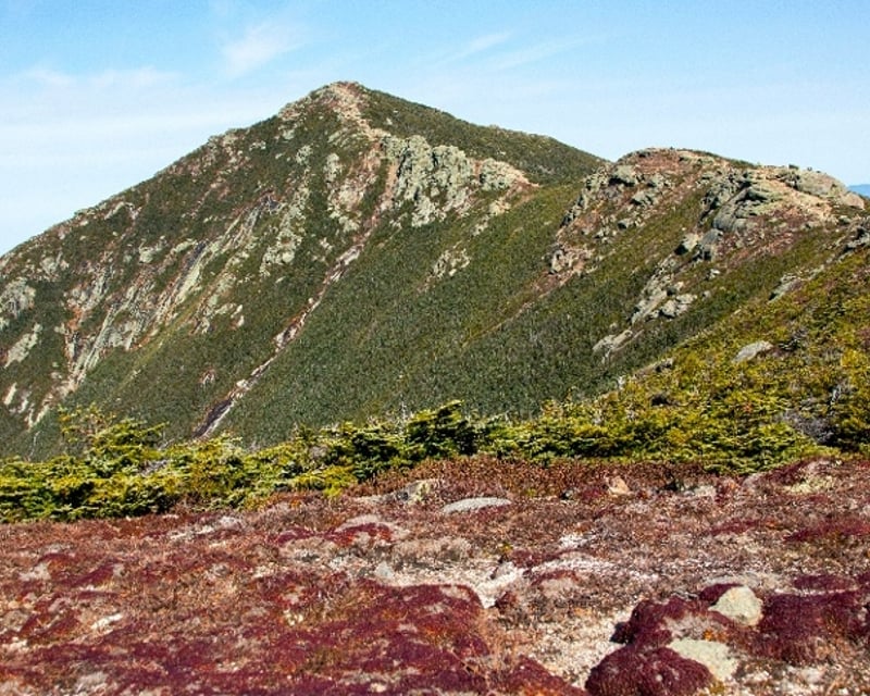 Private Full-Day White Mountains Hike with Naturalist Guide