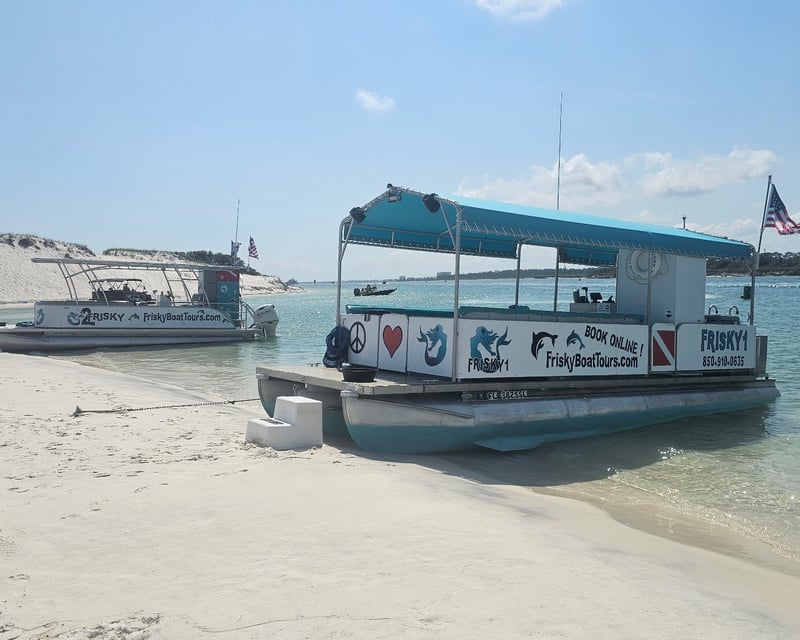 Pensacola Beach Full-Day Dolphin & Snorkel Cruise