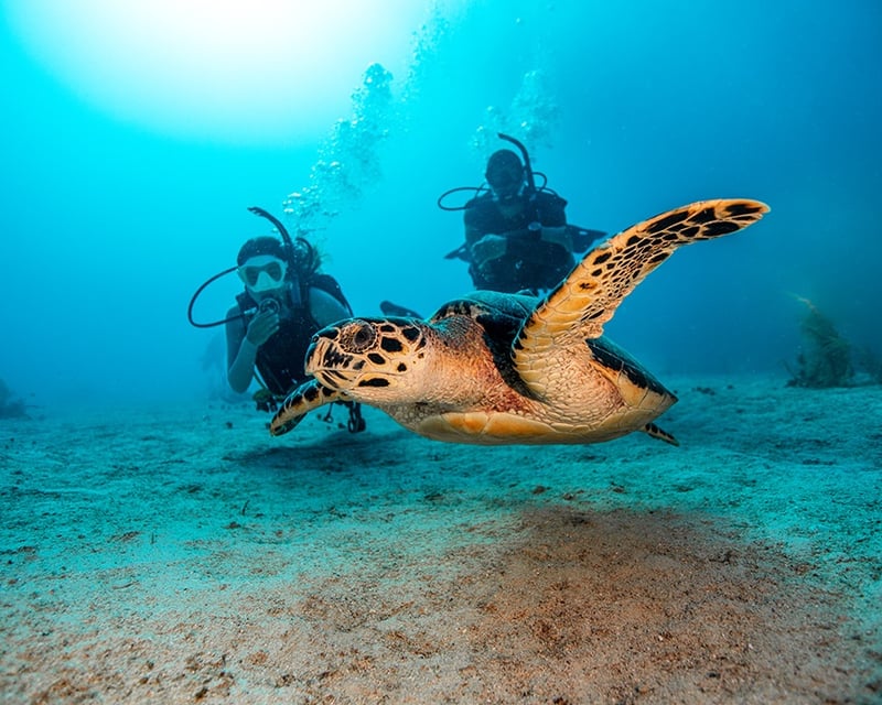 St. Thomas Full-Day Private Dive & Snorkel Charter