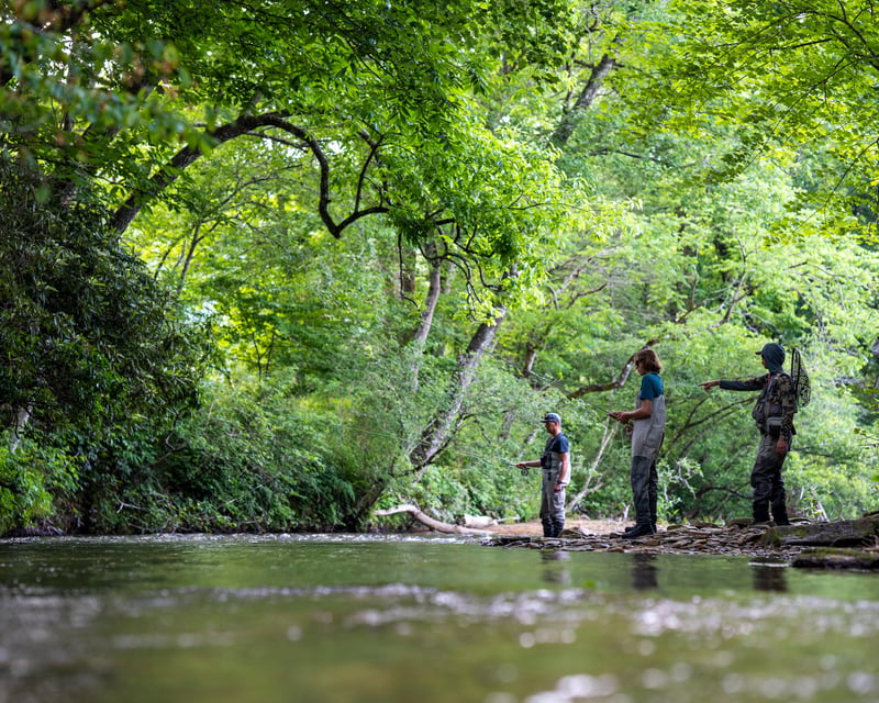 Guided Trout Fly Fishing on the French Broad River