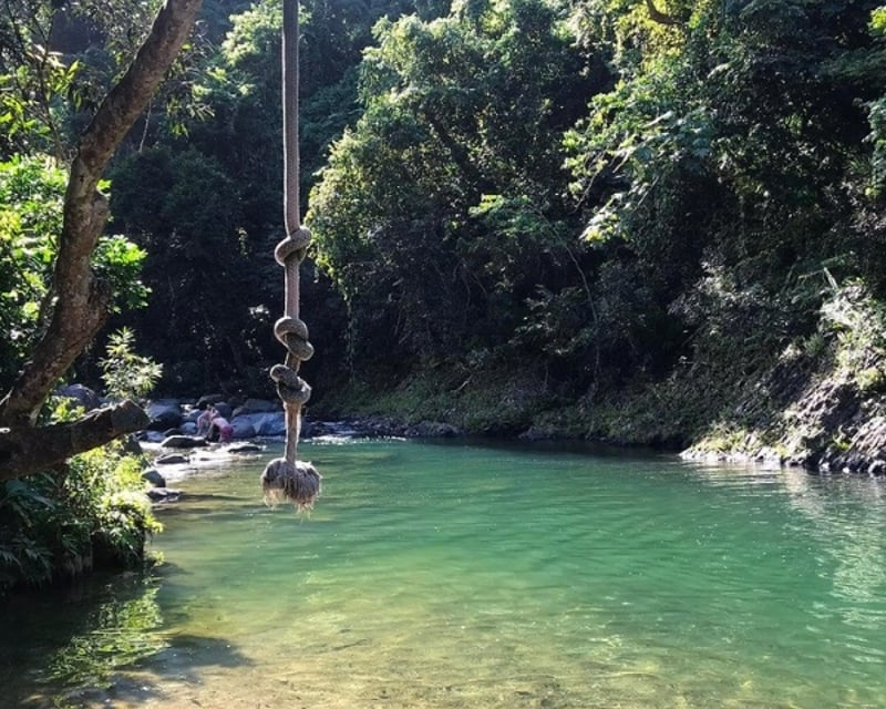 Half-Day El Yunque Rainforest Hike & River Swim
