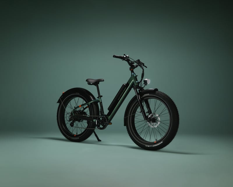 Haines Fat-Tire E-Bike Rental