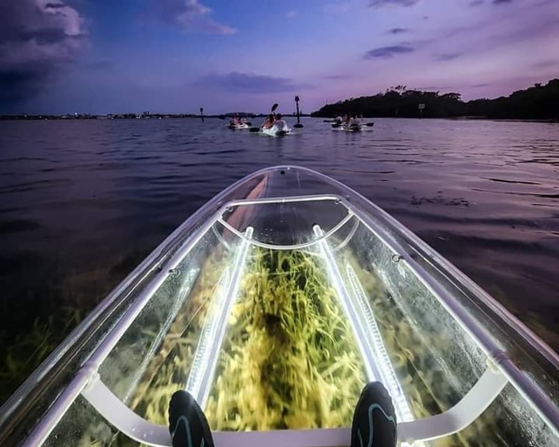 LED Night Clear Kayak Mangrove Tour Near Anna Maria Island