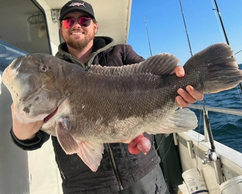 8-Hour Blackfish Fishing Trip