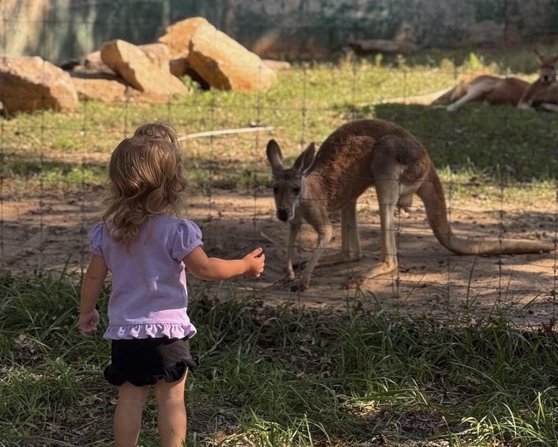 Private 2-Animal Encounter at Hollywild Animal Preserve