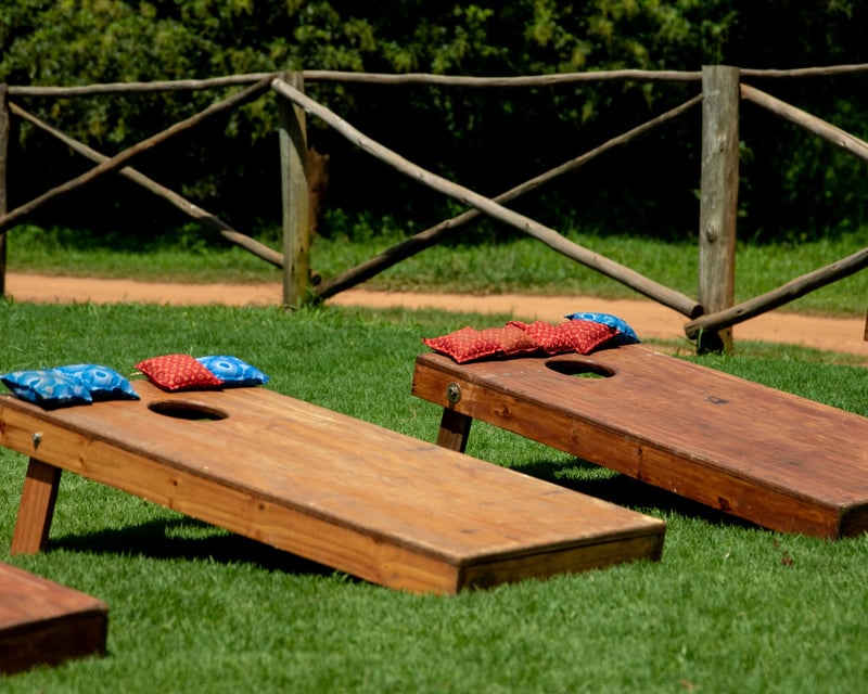 Corporate Picnic Games Tournament in New York City