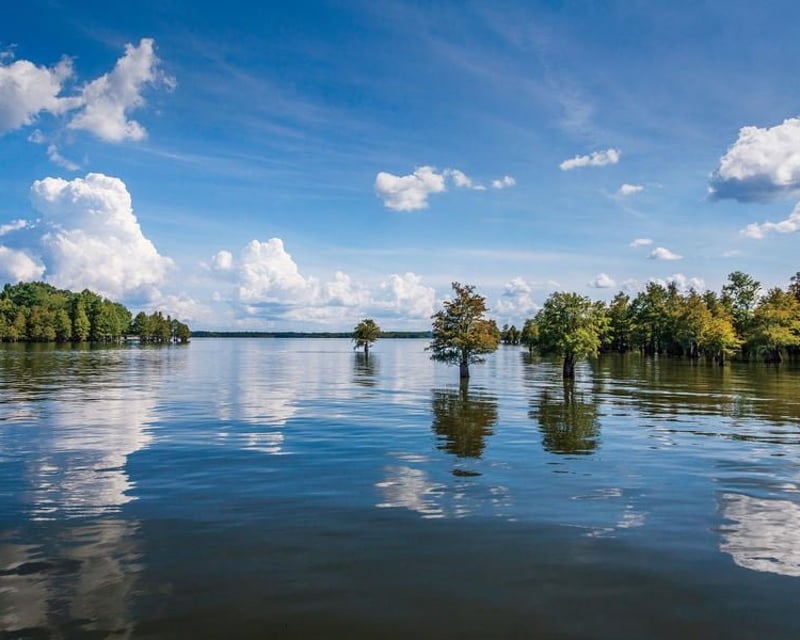 Wildlife & History Boat Cruise in Santee, SC