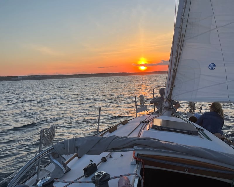 Private 1.5-Hour Wildlife Cruise in Ogunquit