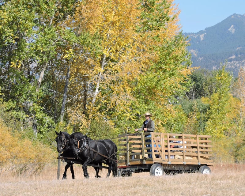 Morning Campfire Story Time Hayride in Bozeman
