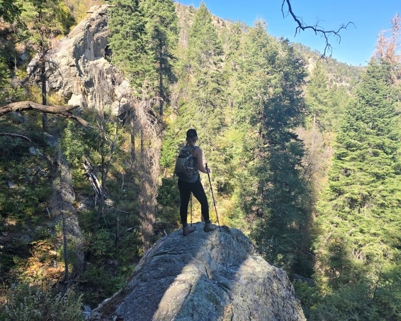 Naturalist-Guided Butterfly Trail Hike on Mount Lemmon