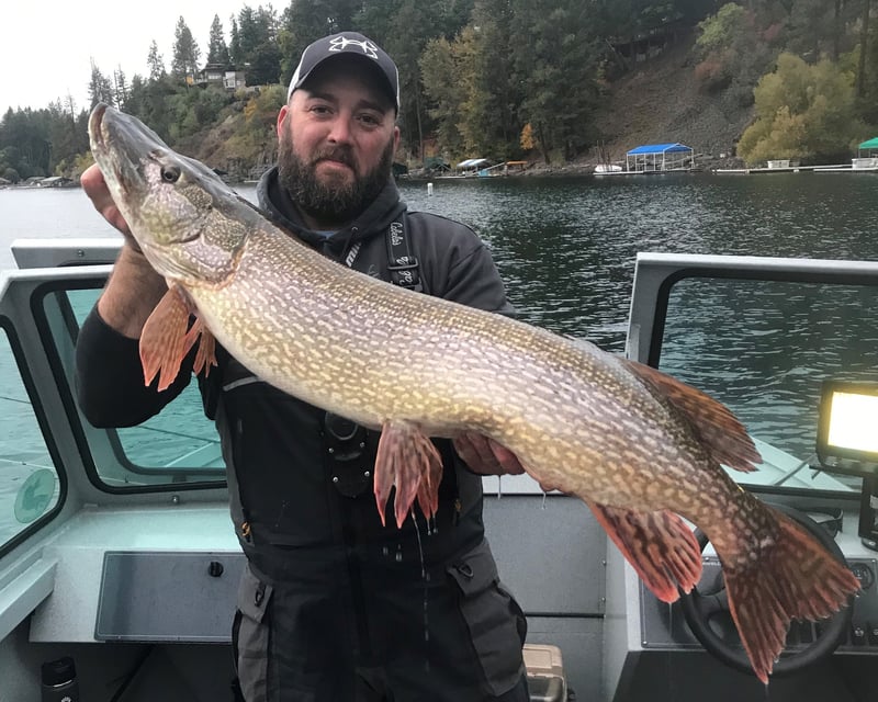 Fish for Pike & Bass on the Chain Lakes Power Boat