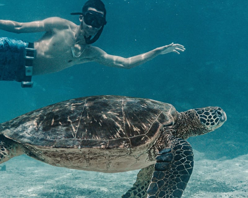 2-Day Freediving Course at Crandon Park Marina