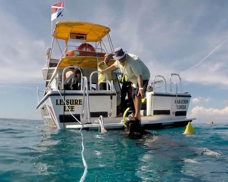 4-Hour Private Dive Charter in Marathon