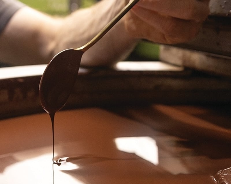 Self-Guided Tree-to-Bar Chocolate Factory Tour in Kailua