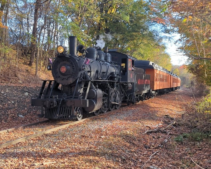 Fall Foliage Steam Train Ride in Arcade