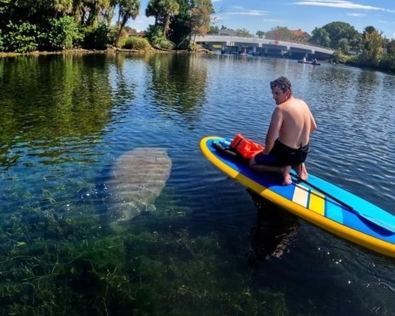 Clear Kayak, Paddleboard & Canoe Rental in Crystal River