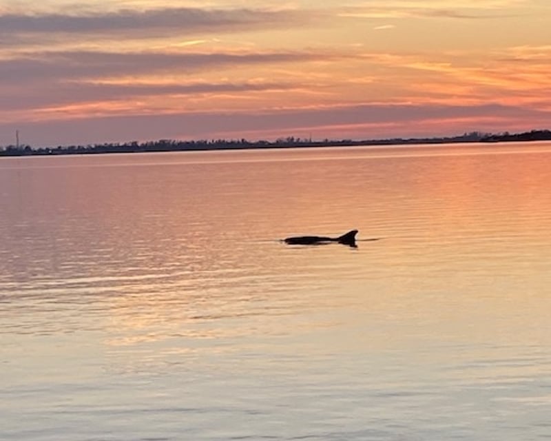 Sunset Cruise From Holmes Beach