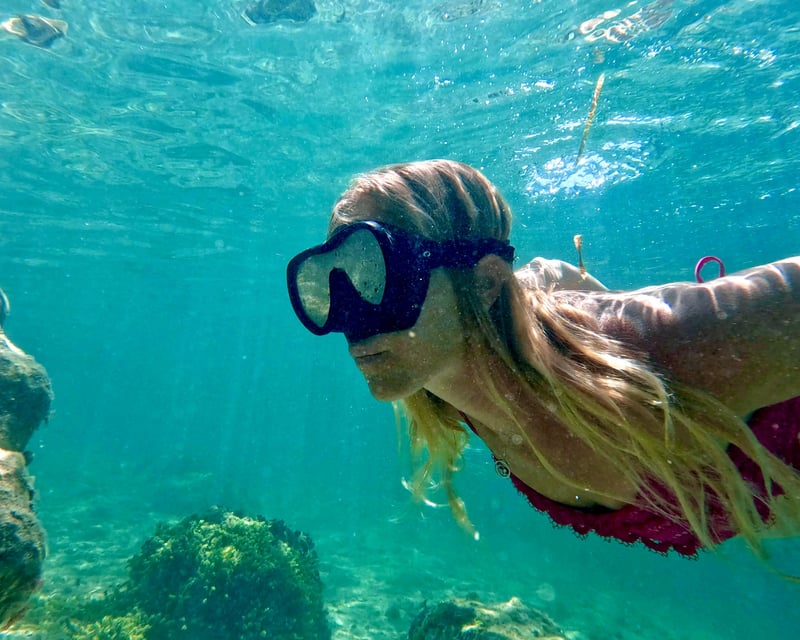 Snorkel With Sea Turtles in West Palm Beach