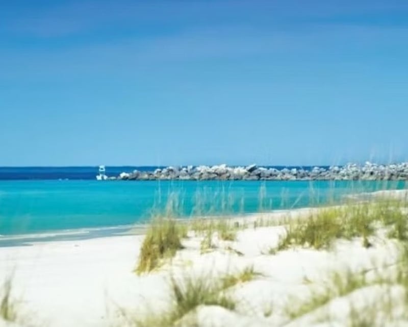 Private Sunset Dolphin & Shell Island Tour in Panama City