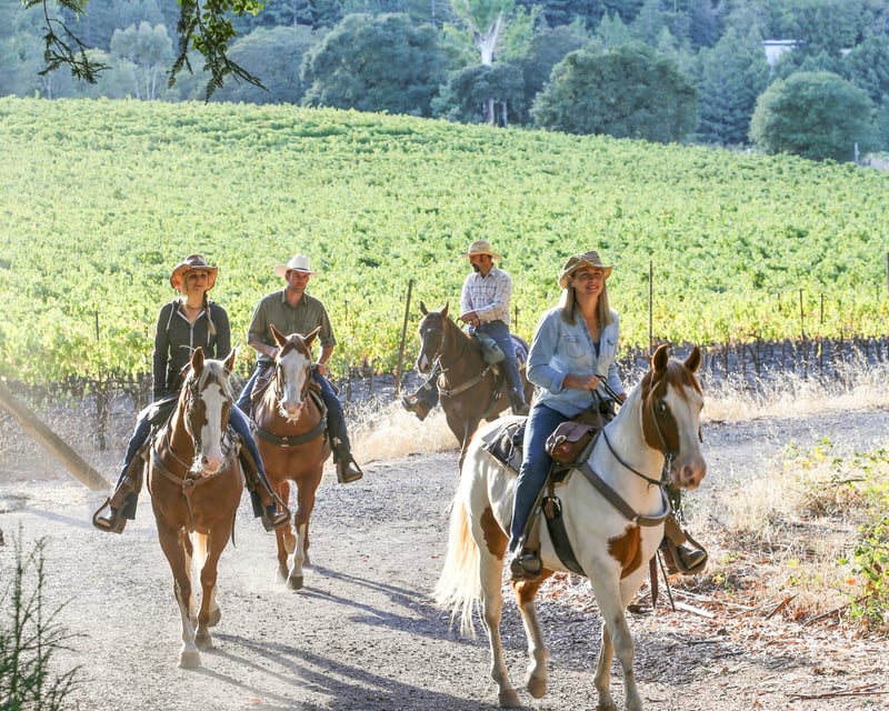 Redwood Horseback Ride at Jack London State Historic Park