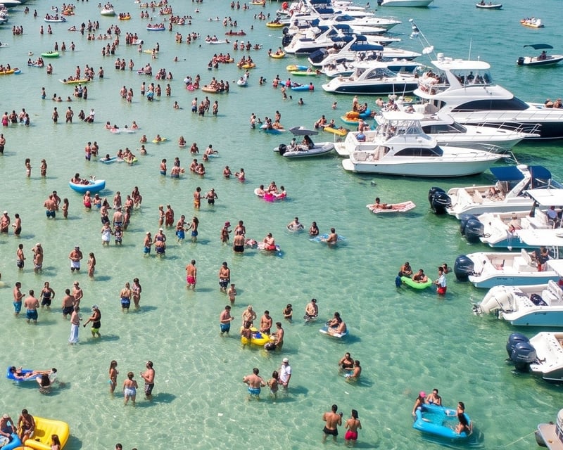 Private Sandbar Boat Charter in Haulover or Fort Lauderdale