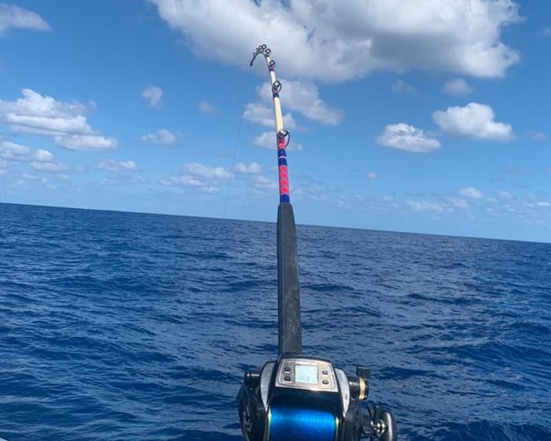 3-Day Dry Tortuga Fishing Charter