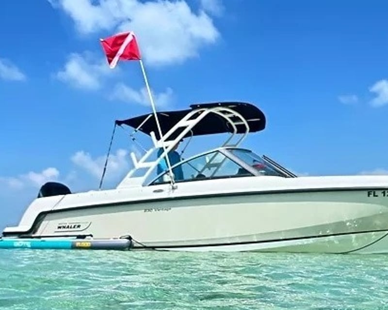 Cruise on a 4-Hour Private Boston Whaler Charter