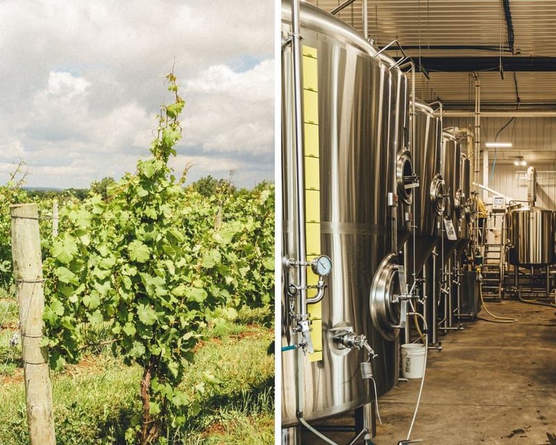 2-Hour Guided Winery Tour in Geneva